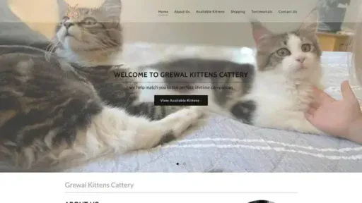 Screenshot of|