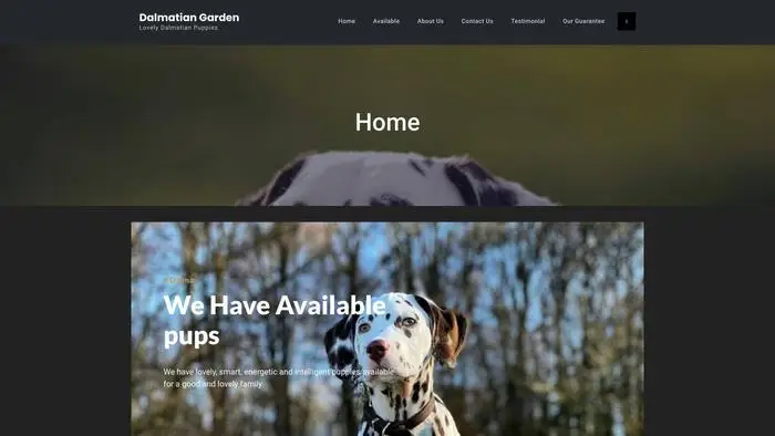 Screenshot of