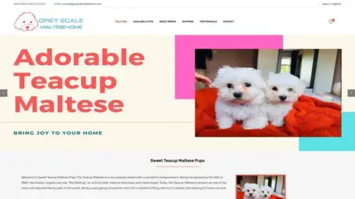 Screenshot of