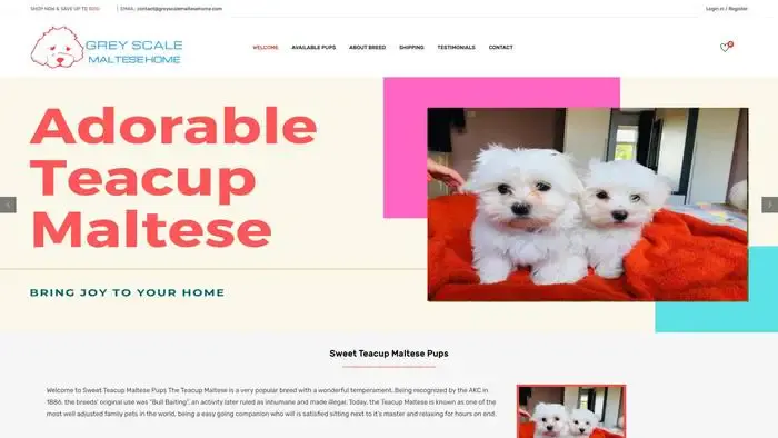 Screenshot of