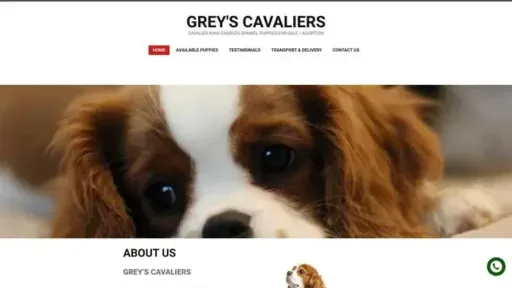 Screenshot of