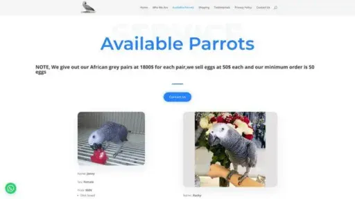 Screenshot of