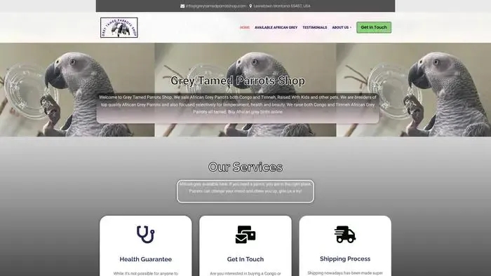 Screenshot of