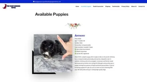 Screenshot of