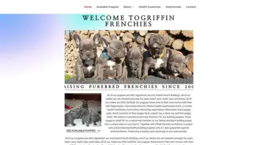 Screenshot of