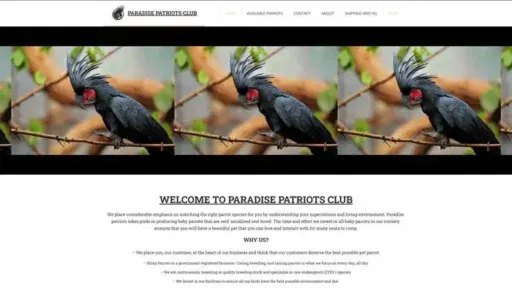 Screenshot of