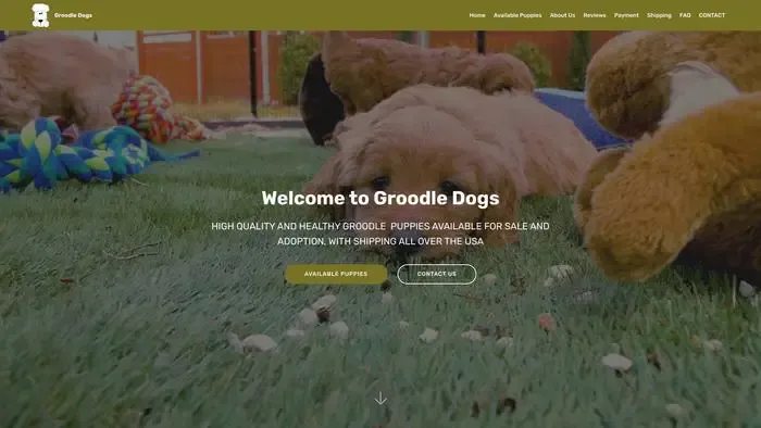 Screenshot of