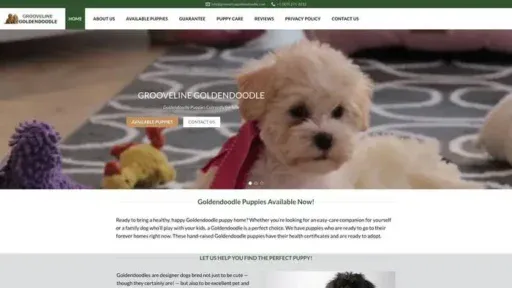 Screenshot of