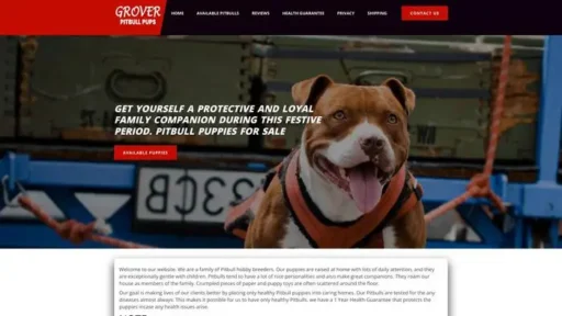 Screenshot of