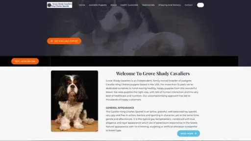 Screenshot of
