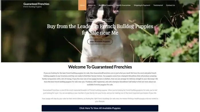 Screenshot of