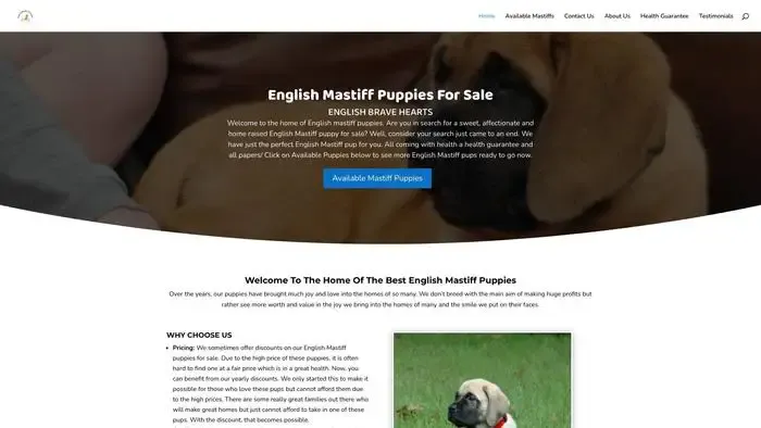 Screenshot of