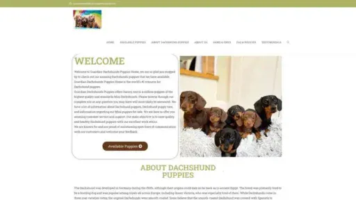 Screenshot of