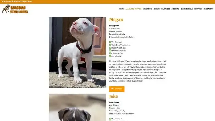 Screenshot of