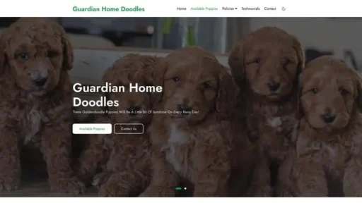 Screenshot of