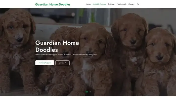 Screenshot of