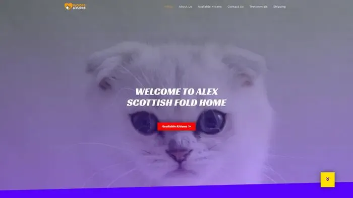 Screenshot of