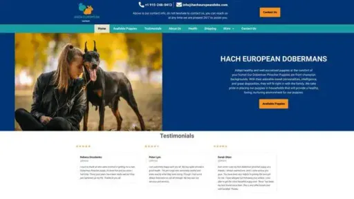 Screenshot of