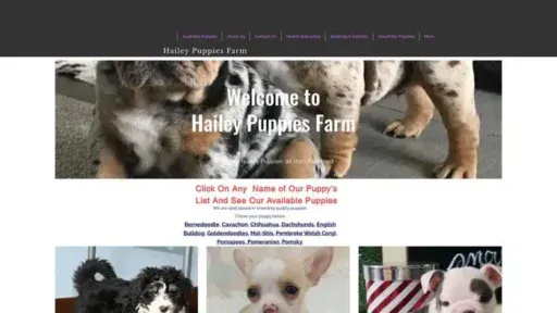Screenshot of