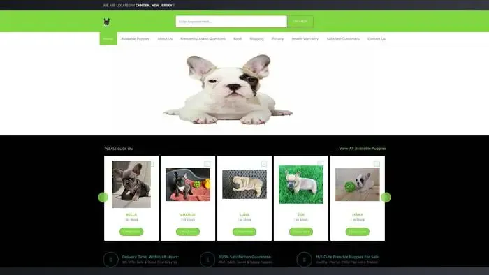 Screenshot of
