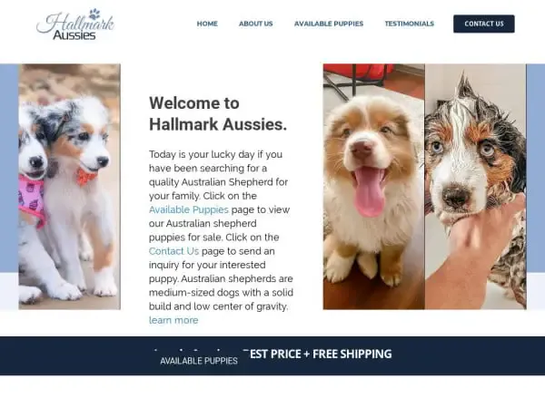 Screenshot of