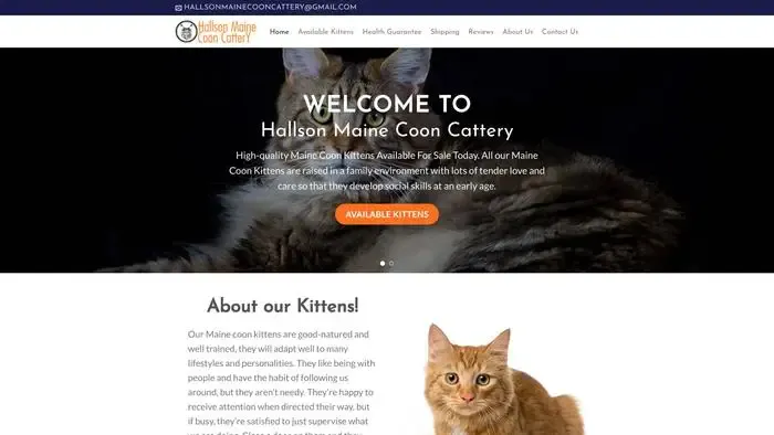 Screenshot of