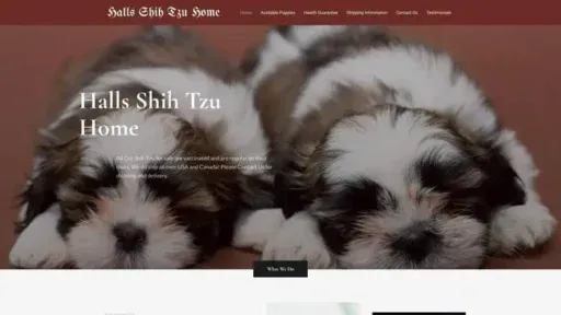 Screenshot of