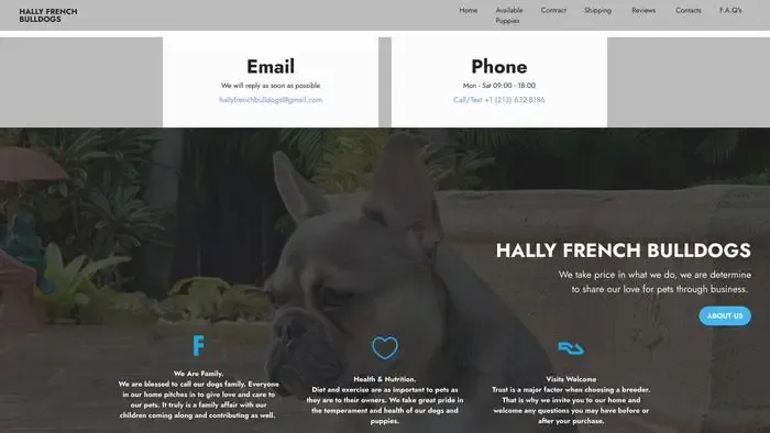 Screenshot of