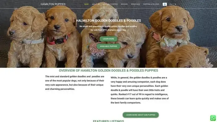 Screenshot of