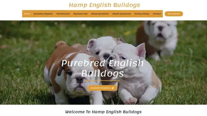 Screenshot of