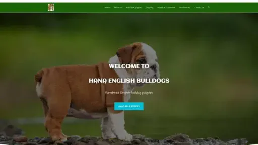 Screenshot of