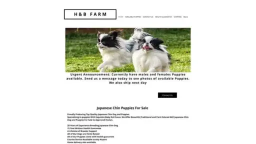 Screenshot of