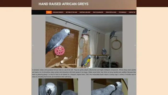 Screenshot of