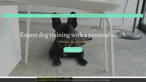 Screenshot of||