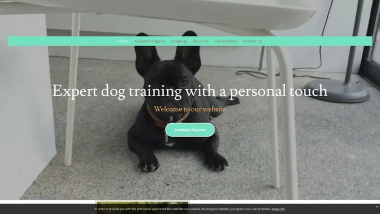 Screenshot of||
