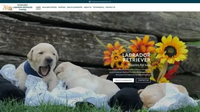 Screenshot of