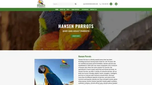 Screenshot of