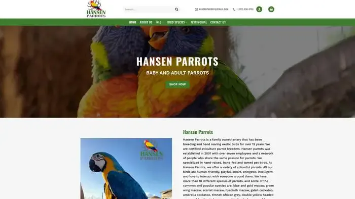 Screenshot of