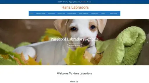 Screenshot of