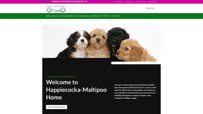 Screenshot of