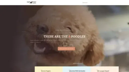 Screenshot of