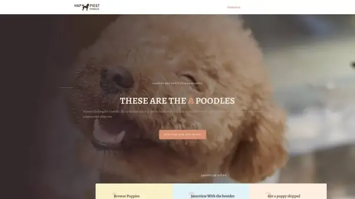 Screenshot of