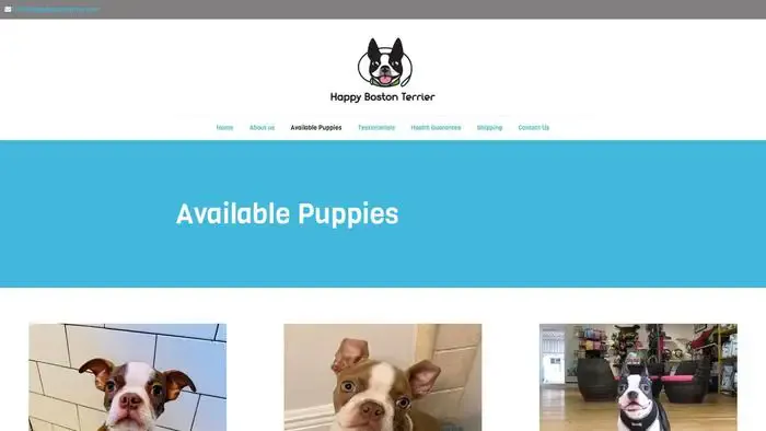 Screenshot of