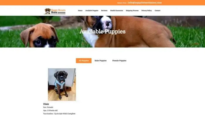 Screenshot of