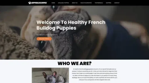Screenshot of