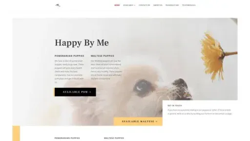 Screenshot of