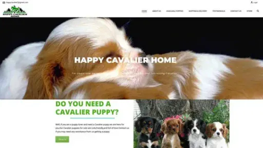 Screenshot of