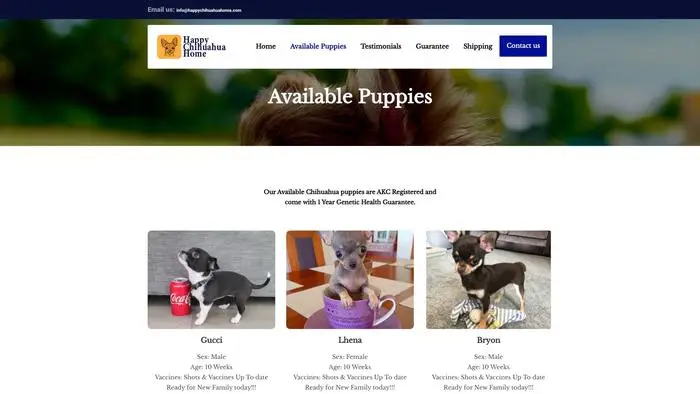 Screenshot of