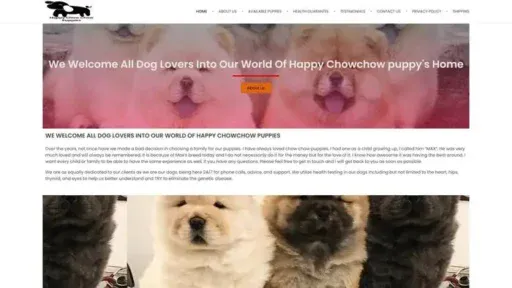 Screenshot of