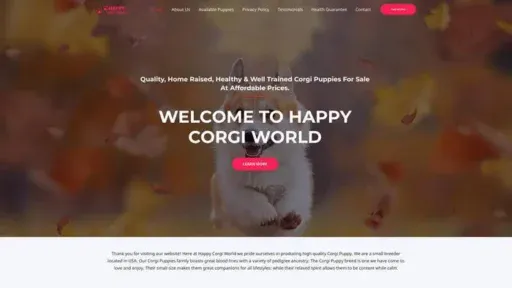 Screenshot of